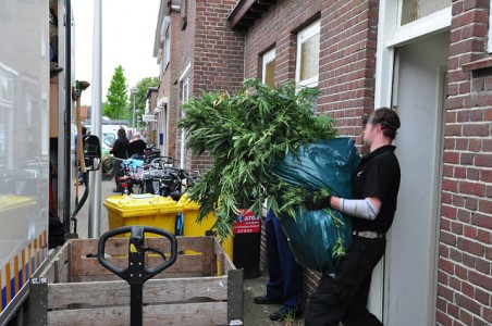 Flinke hennepkwekerij geruimd aan de Crispijnstraat Waalwijk