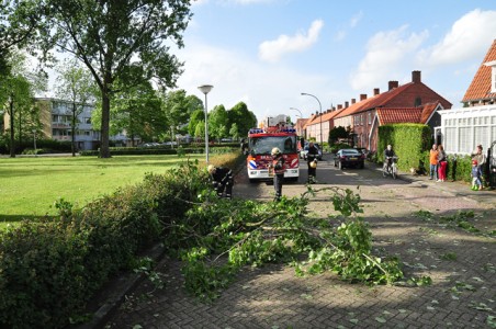 Grote tak op wegdek aan de Baardwijksestraat Waalwijk