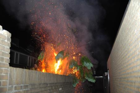 Metershoge vlammen bij coniferenbrand aan de Prof. Buysstraat Waalwijk